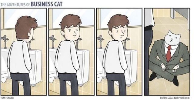 The adventures of business cat in the toilet @PMSLweb.com
