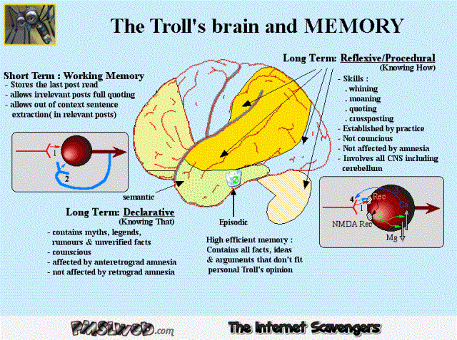 The troll’s brain and memory explained humor @PMSLweb.com