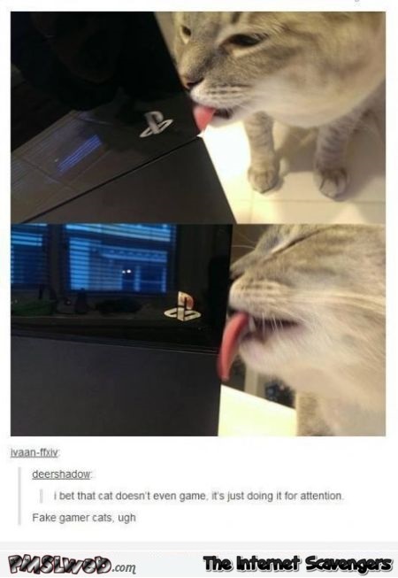 Fake gamer cat humor @PMSLweb.com