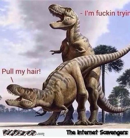 Pull my hair dinosaur joke @PMSLweb.com