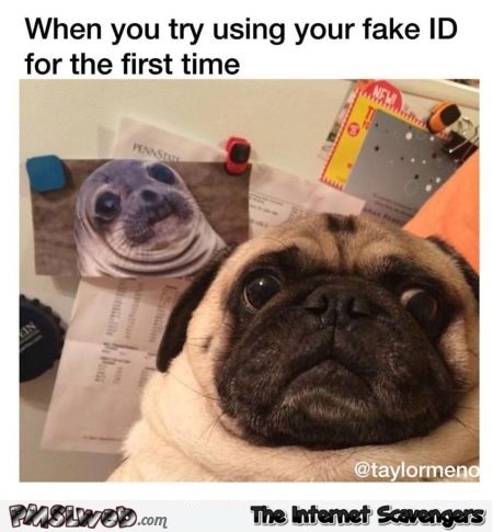 When you try using your fake ID for the first time humor @PMSLweb.com