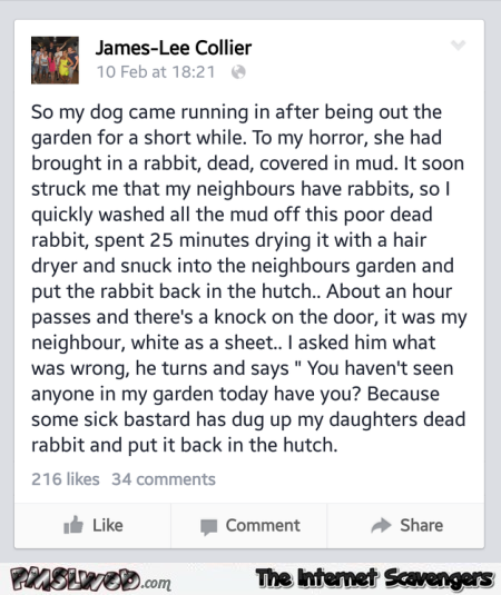 Funny dead rabbit story @PMSLweb.com