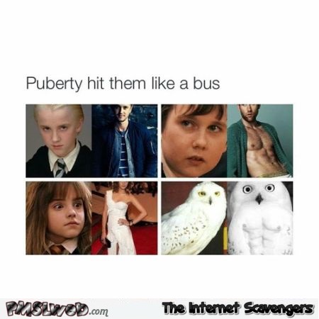 Puberty hit them like a bus humor @PMSLweb.com