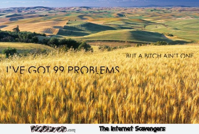 I have 99 problems funny inspirational picture @PMSLweb.com