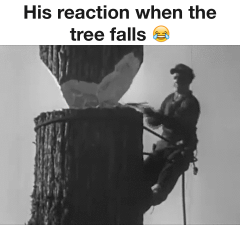 His reaction when the tree falls humor