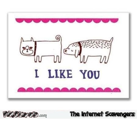 I like you funny Valentine’s day card @PMSLweb.com