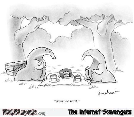 Funny anteater cartoon @PMSLweb.com