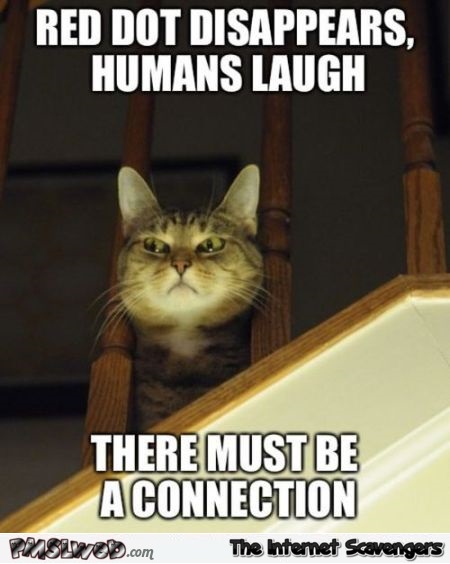 Funny suspicious cat meme @PMSLweb.com