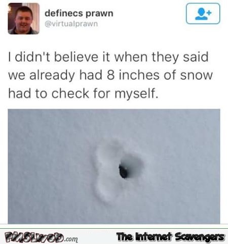 Eight inches of snow joke @PMSLweb.com