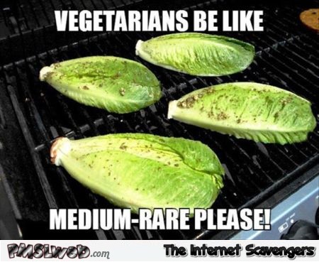 Vegetarians be like meme