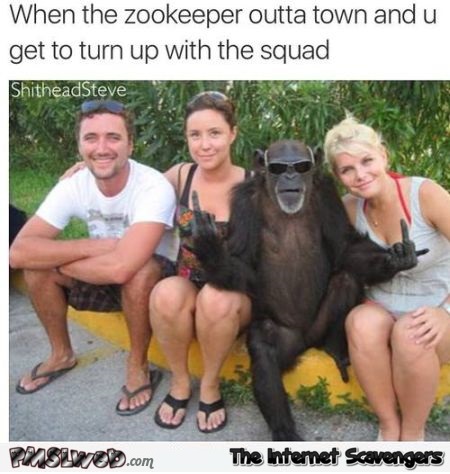 Funny badass monkey @PMSLweb.com