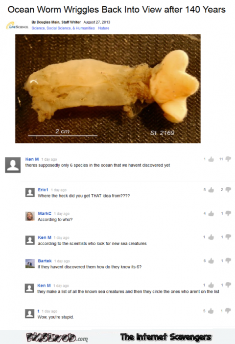Stupid Ken M and sea creatures