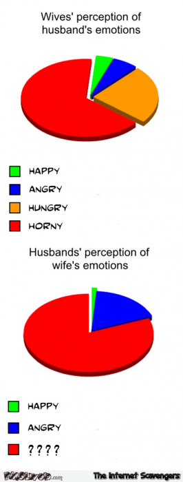 Funny perception of spouse emotions graph