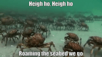 Heigh ho funny crab gif – Funny Friday @PMSLweb.com
