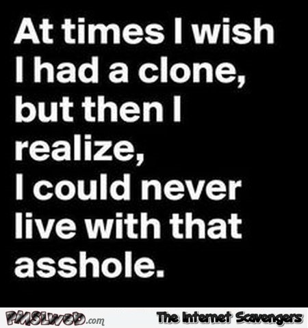 I wish I had a clone sarcastic quote @PMSLweb.com