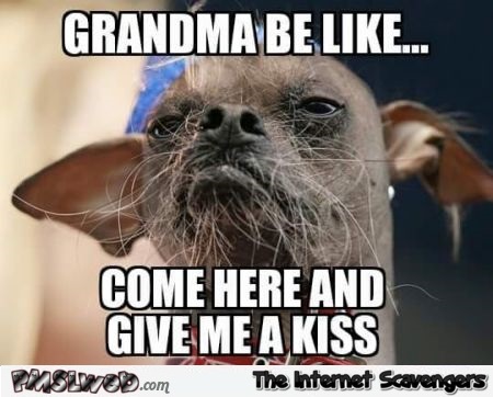 Grandma be like funny meme @PMSLweb.com