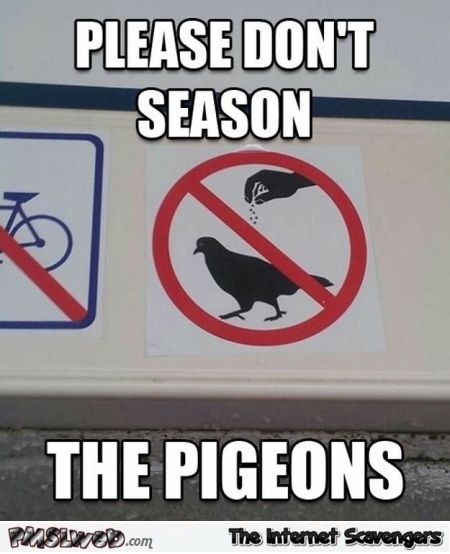 Please don’t season the pigeons meme @PMSLweb.com