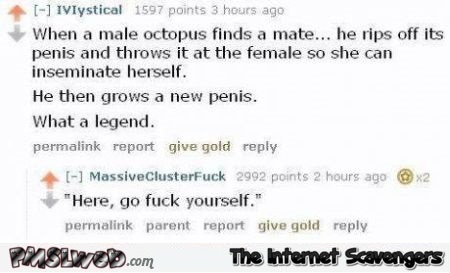 Funny male octopus joke @PMSLweb.com