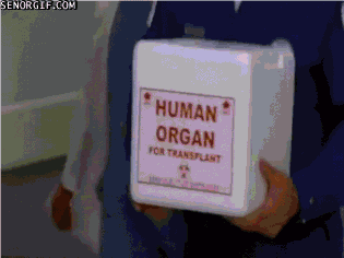 Funny organ donor gif @PMSLweb.com