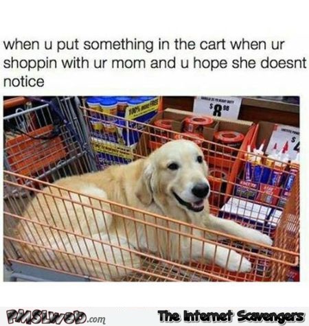 When you put something in the shopping cart humor @PMSLweb.com