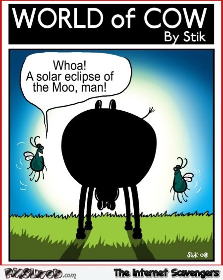 Solar eclipse of the moo funny cartoon @PMSLweb.com