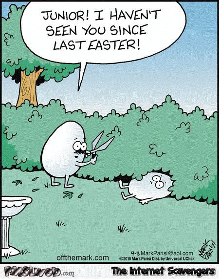 Funny lost egg cartoon @PMSLweb.com
