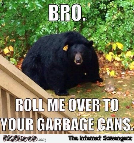 Funny fat bear meme @PMSLweb.com