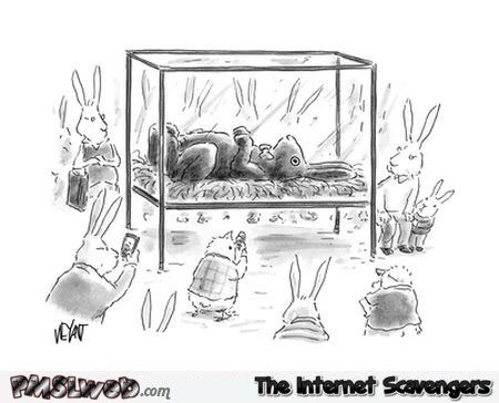 Funny chocolate Easter bunny cartoon @PMSLweb.com