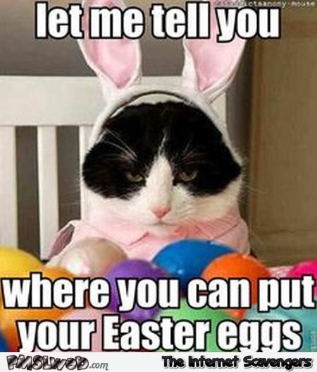 Funny Easter cat meme @PMSLweb.com