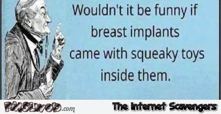 If breast implants came with squeaky toys inside sarcastic ecard