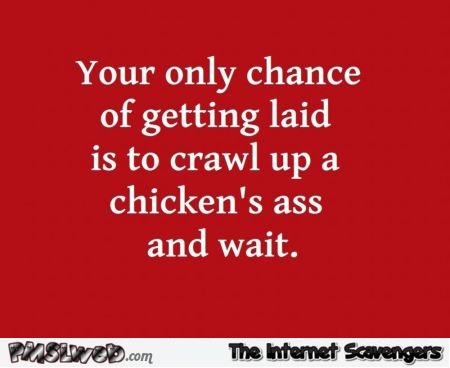 Your only chance of getting laid funny quote @PMSLweb.com