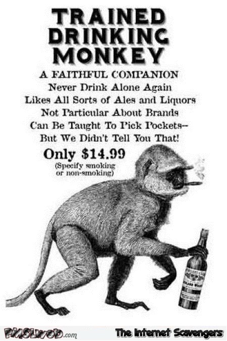 Trained drinking monkey funny advert @PMSLweb.com