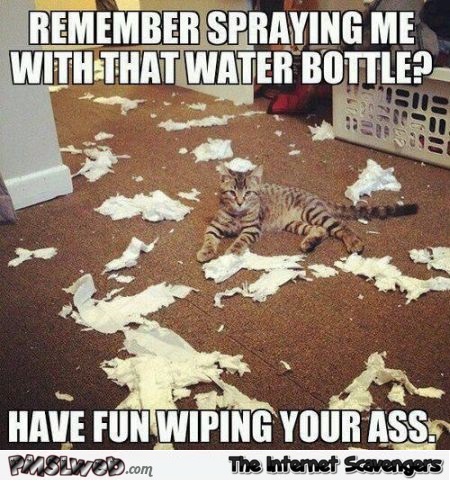 Remember spraying me with that water bottle cat meme – Weekend fun @PMSLweb.com