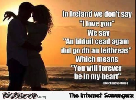 In Ireland we don�t say I love you meme @PMSLweb.com