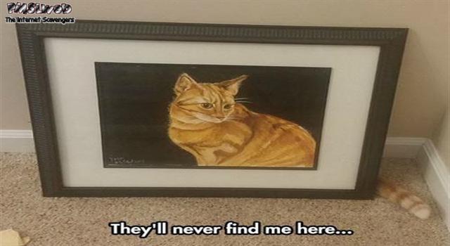 They’ll never find me here cat meme – Tuesday funniness @PMSLweb.com