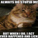 When cats do mistakes funny meme @PMSLweb.com