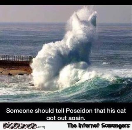Funny Poseidon’s cat is out again @PMSLweb.com