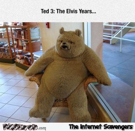 Ted 3 humor @PMSLweb.com