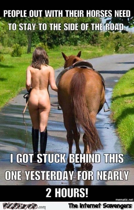 People with horses should stay on the side of the road meme @PMSLweb.com