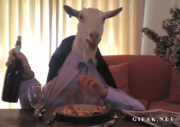 Funny human goat gif – Friday madness @PMSLweb.com