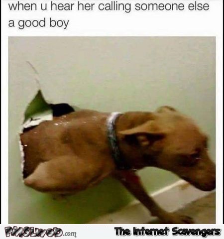When you hear her calling someone else a good boy humor – Friday laughter @PMSLweb.com
