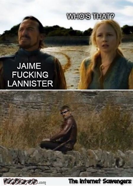 Jaime fucking Lannister funny meme @PMSLweb.com