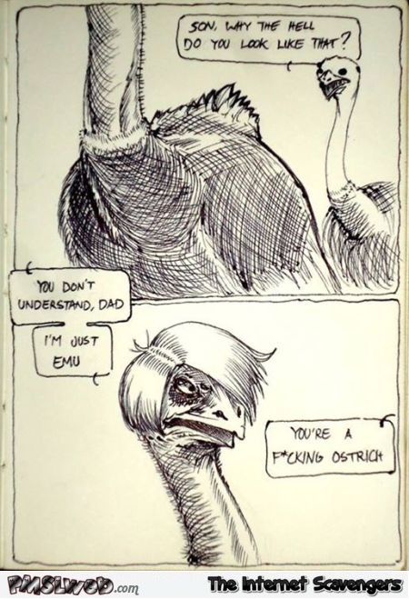 I’m just emu funny cartoon @PMSlweb.com
