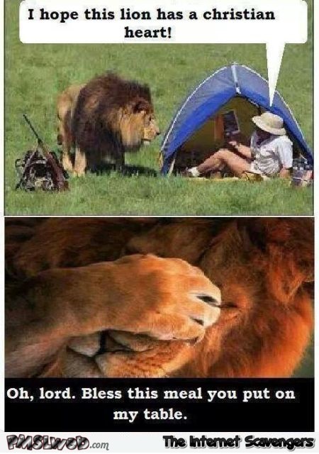 Lion with a Christian heart humor