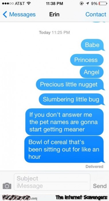 Pet names will get meaner funny text message