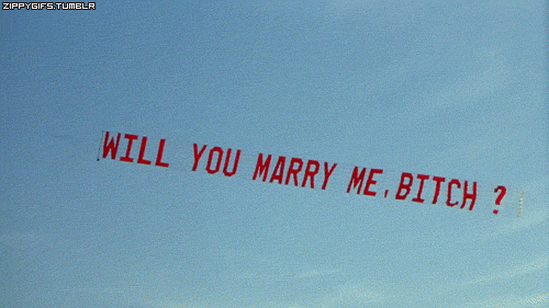 Funny marry me, bitch gif @PMSLweb.com