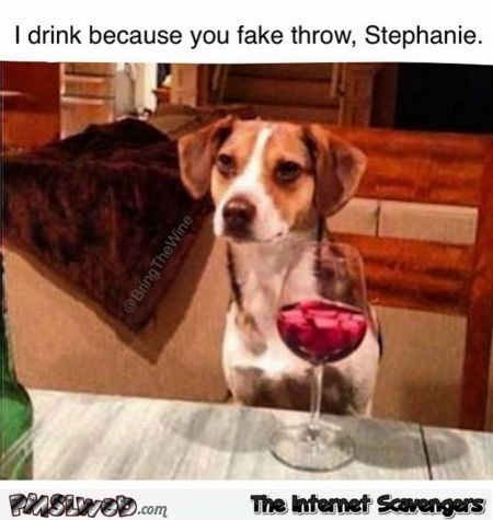 I drink because you fake throw dog humor – Sunday LOL @PMSLweb.com