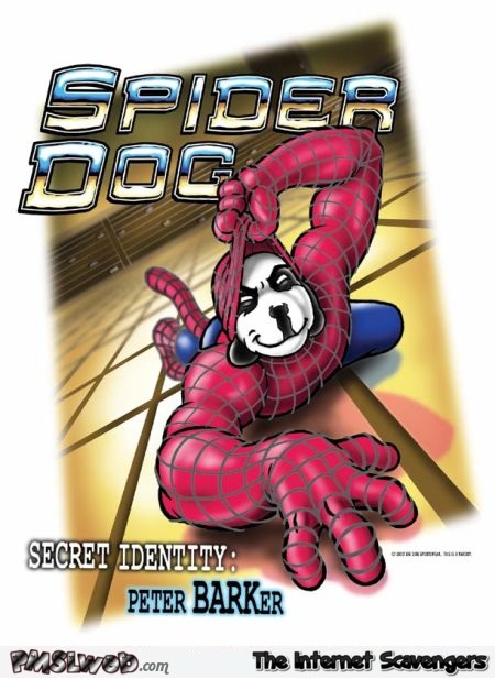 Funny spider dog cartoon