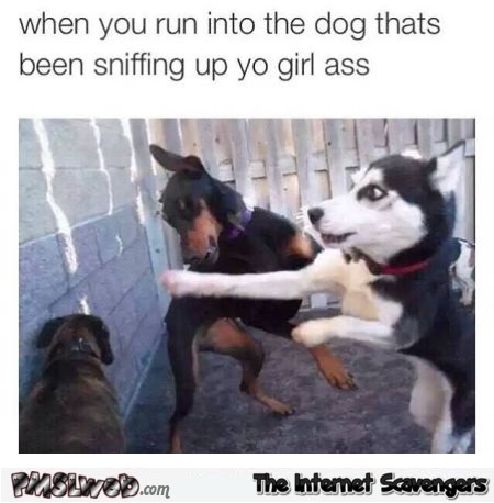 When you run into the dog who’s been sniffing your girl humor @PMSLweb.com