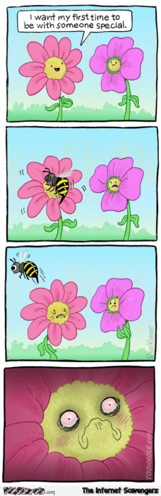 Flower wants its first time to be special funny cartoon